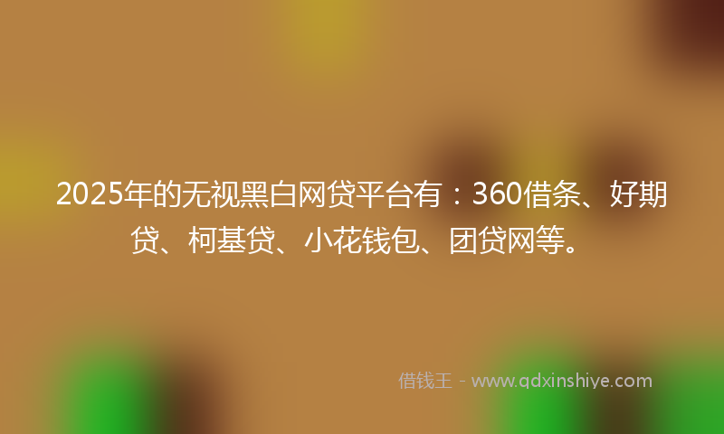 2025年的无视黑白网贷平台有：360借条、好期贷、柯基贷、小花钱包、团贷网等。