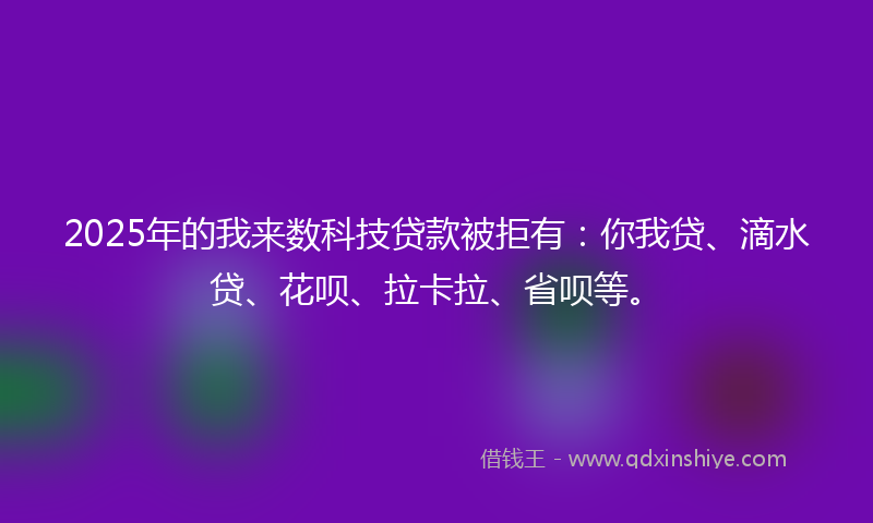 2025年的我来数科技贷款被拒有：你我贷、滴水贷、花呗、拉卡拉、省呗等。