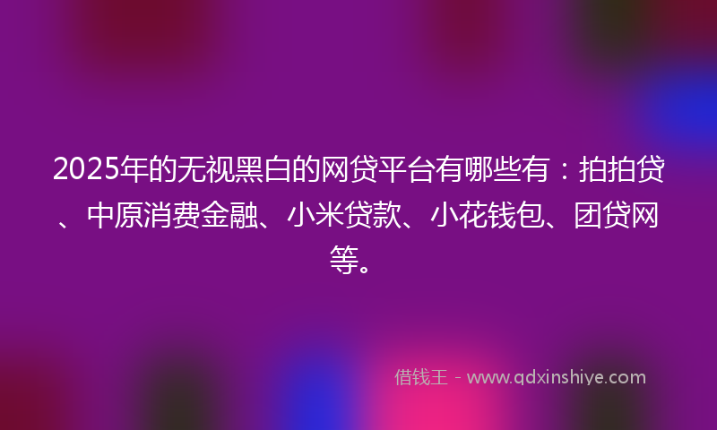 2025年的无视黑白的网贷平台有哪些有：拍拍贷、中原消费金融、小米贷款、小花钱包、团贷网等。