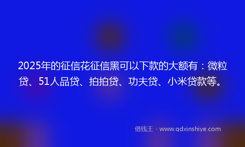 2025年的征信花征信黑可以下款的大额有：微粒贷、51人品贷、拍拍贷、功夫贷、小米贷款等。