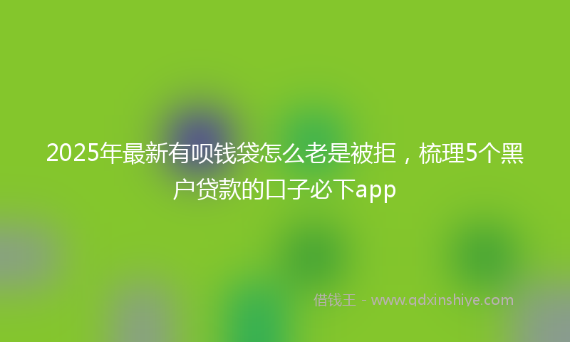 2025年最新有呗钱袋怎么老是被拒，梳理5个黑户贷款的口子必下app