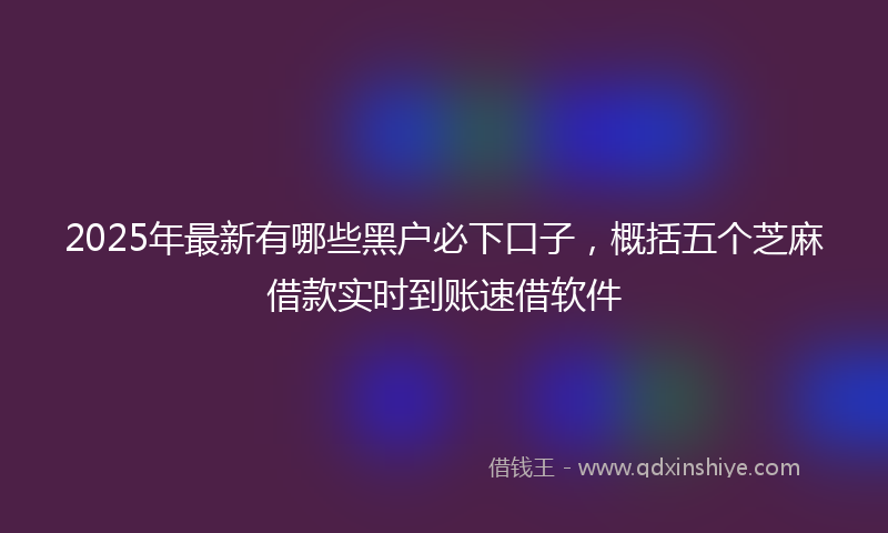 2025年最新有哪些黑户必下口子，概括五个芝麻借款实时到账速借软件