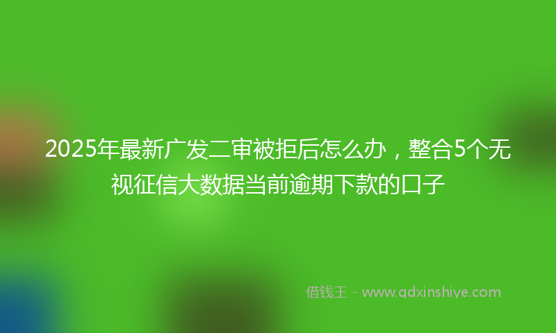 2025年最新广发二审被拒后怎么办，整合5个无视征信大数据当前逾期下款的口子