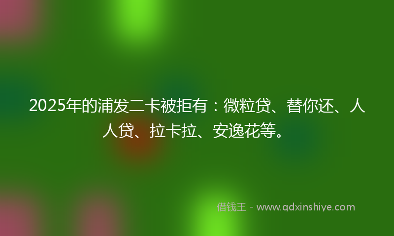 2025年的浦发二卡被拒有：微粒贷、替你还、人人贷、拉卡拉、安逸花等。