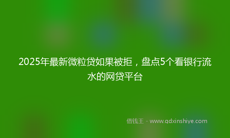 2025年最新微粒贷如果被拒，盘点5个看银行流水的网贷平台