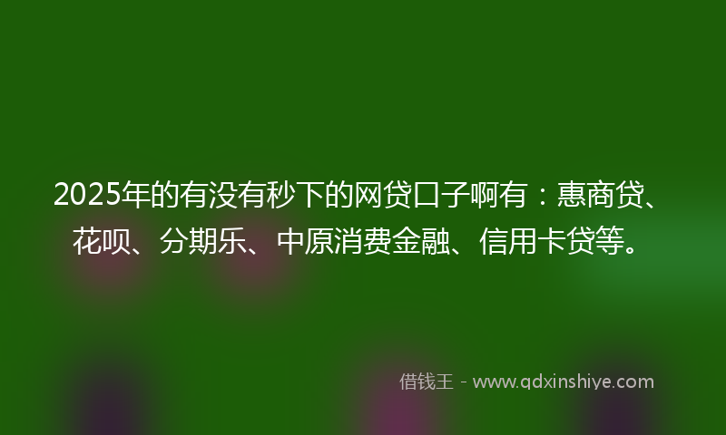2025年的有没有秒下的网贷口子啊有：惠商贷、花呗、分期乐、中原消费金融、信用卡贷等。