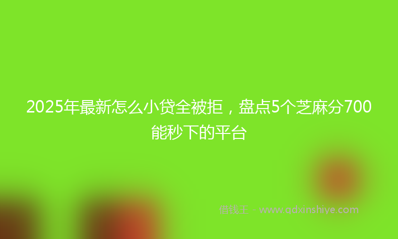 2025年最新怎么小贷全被拒，盘点5个芝麻分700能秒下的平台