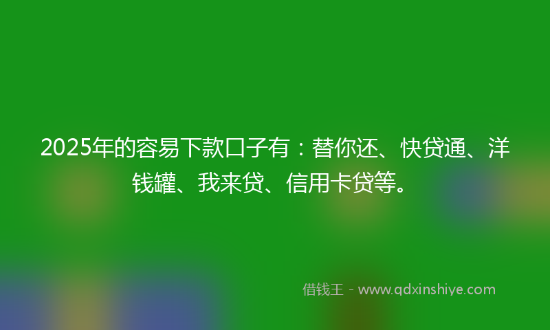 2025年的容易下款口子有：替你还、快贷通、洋钱罐、我来贷、信用卡贷等。