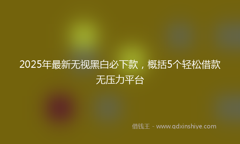 2025年最新无视黑白必下款，概括5个轻松借款无压力平台
