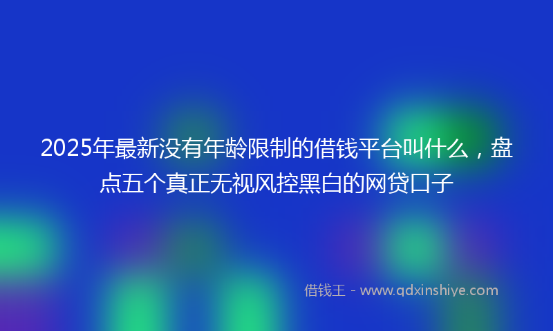 2025年最新没有年龄限制的借钱平台叫什么，盘点五个真正无视风控黑白的网贷口子