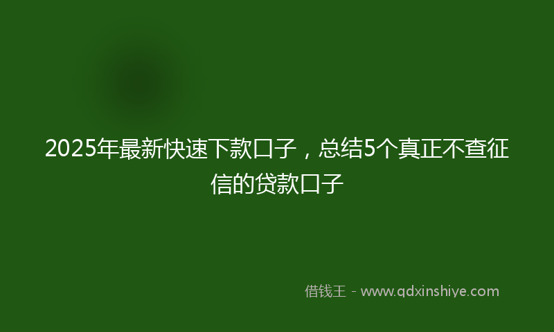 2025年最新快速下款口子，总结5个真正不查征信的贷款口子