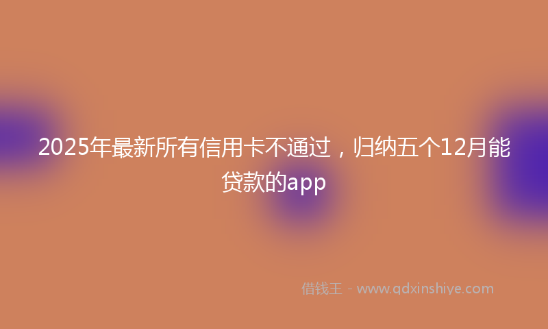 2025年最新所有信用卡不通过，归纳五个12月能贷款的app