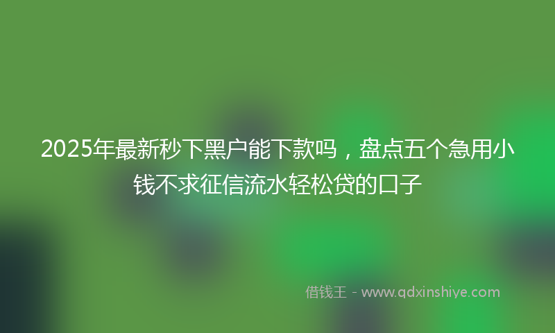 2025年最新秒下黑户能下款吗，盘点五个急用小钱不求征信流水轻松贷的口子