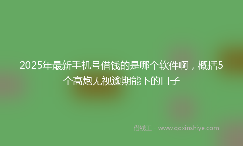 2025年最新手机号借钱的是哪个软件啊，概括5个高炮无视逾期能下的口子