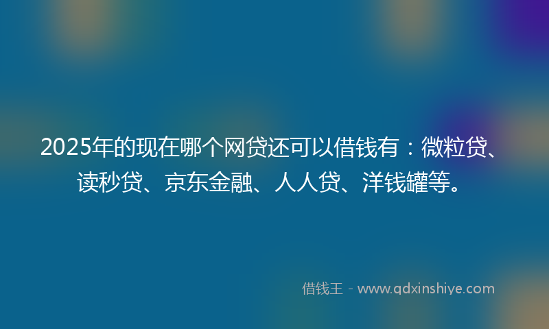 2025年的现在哪个网贷还可以借钱有：微粒贷、读秒贷、京东金融、人人贷、洋钱罐等。