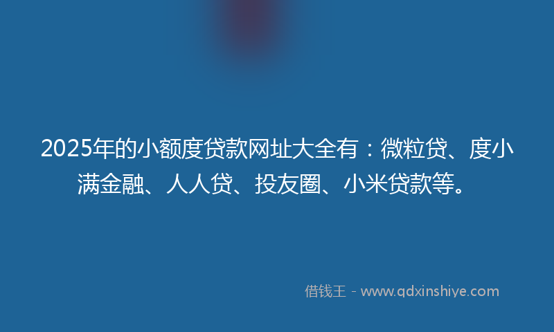 2025年的小额度贷款网址大全有：微粒贷、度小满金融、人人贷、投友圈、小米贷款等。