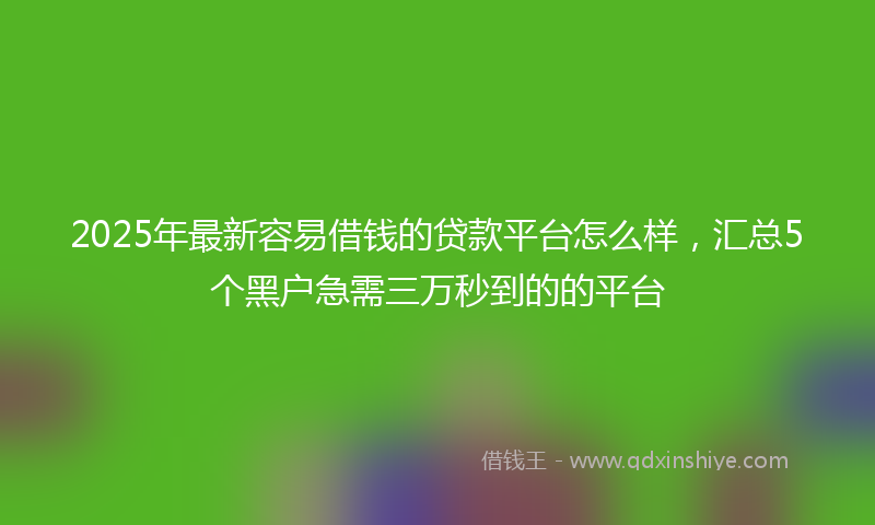 2025年最新容易借钱的贷款平台怎么样，汇总5个黑户急需三万秒到的的平台