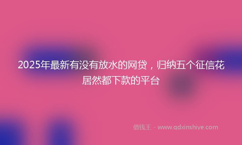 2025年最新有没有放水的网贷，归纳五个征信花居然都下款的平台