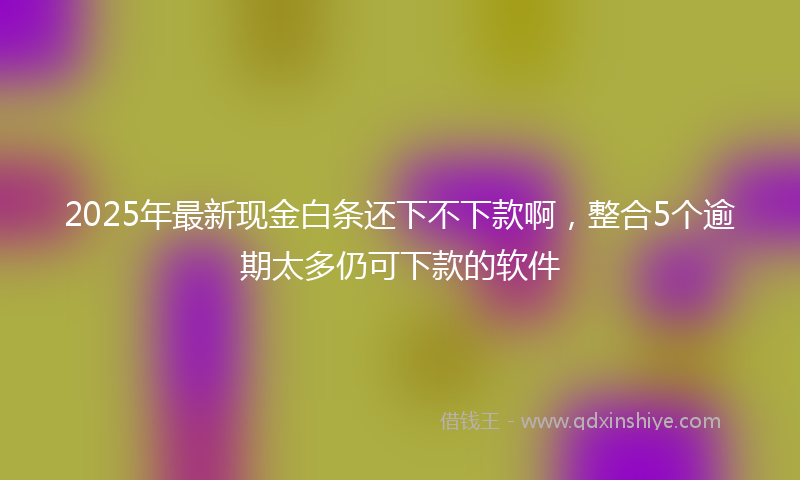 2025年最新现金白条还下不下款啊，整合5个逾期太多仍可下款的软件