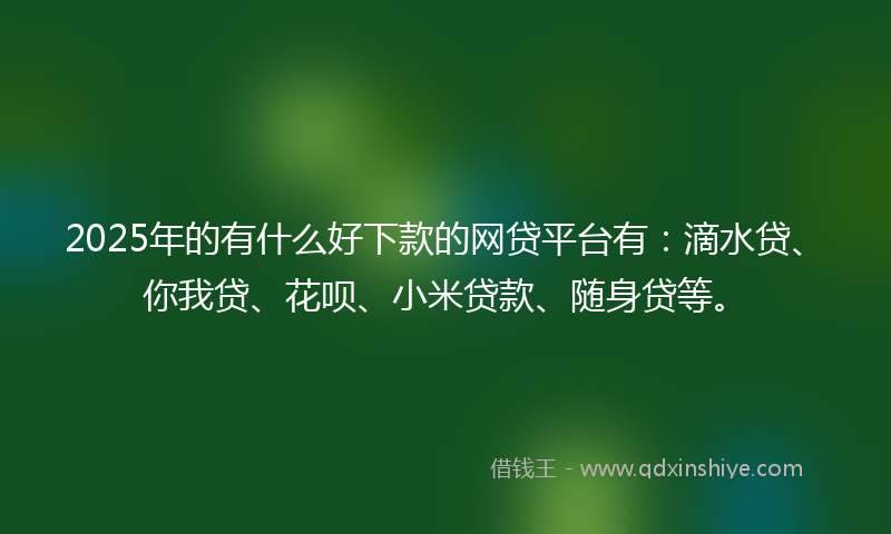 2025年的有什么好下款的网贷平台有：滴水贷、你我贷、花呗、小米贷款、随身贷等。