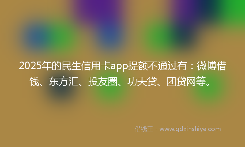 2025年的民生信用卡app提额不通过有：微博借钱、东方汇、投友圈、功夫贷、团贷网等。