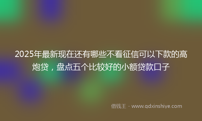2025年最新现在还有哪些不看征信可以下款的高炮贷，盘点五个比较好的小额贷款口子