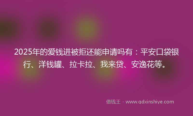 2025年的爱钱进被拒还能申请吗有：平安口袋银行、洋钱罐、拉卡拉、我来贷、安逸花等。