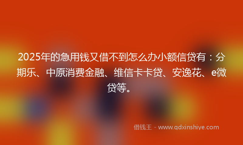2025年的急用钱又借不到怎么办小额信贷有：分期乐、中原消费金融、维信卡卡贷、安逸花、e微贷等。