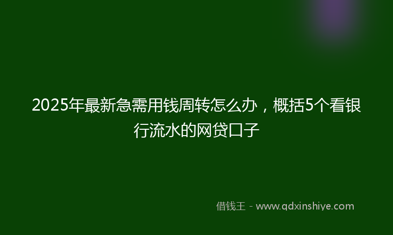 2025年最新急需用钱周转怎么办，概括5个看银行流水的网贷口子
