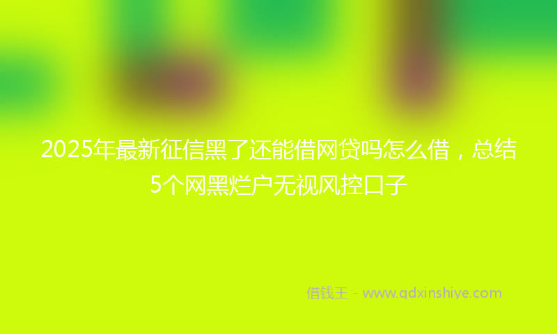 2025年最新征信黑了还能借网贷吗怎么借，总结5个网黑烂户无视风控口子