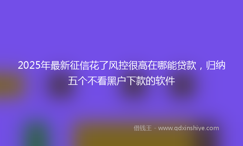2025年最新征信花了风控很高在哪能贷款，归纳五个不看黑户下款的软件