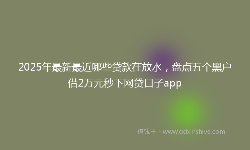 2025年最新最近哪些贷款在放水，盘点五个黑户借2万元秒下网贷口子app