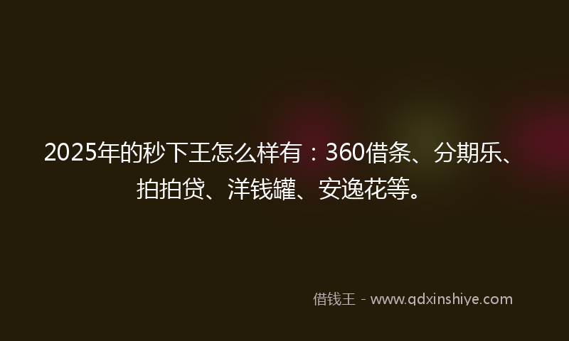 2025年的秒下王怎么样有：360借条、分期乐、拍拍贷、洋钱罐、安逸花等。