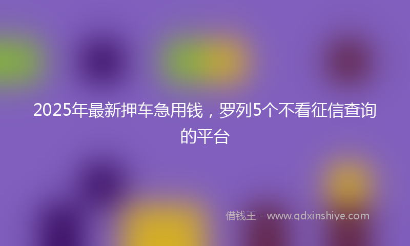 2025年最新押车急用钱，罗列5个不看征信查询的平台