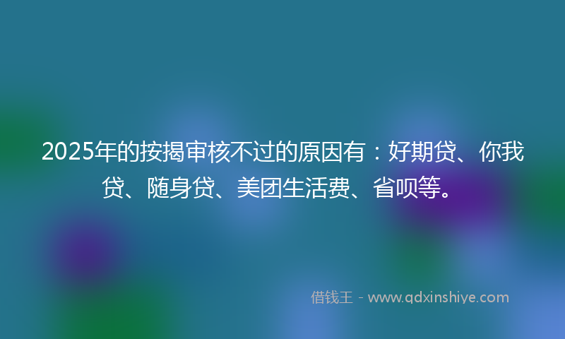 2025年的按揭审核不过的原因有：好期贷、你我贷、随身贷、美团生活费、省呗等。