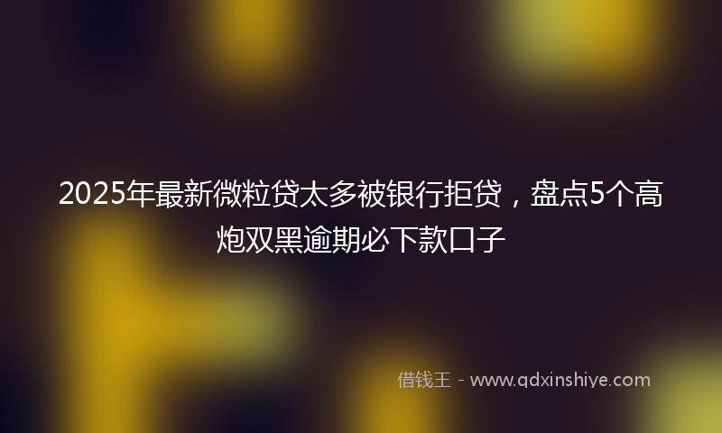 2025年最新微粒贷太多被银行拒贷，盘点5个高炮双黑逾期必下款口子
