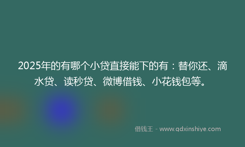 2025年的有哪个小贷直接能下的有：替你还、滴水贷、读秒贷、微博借钱、小花钱包等。