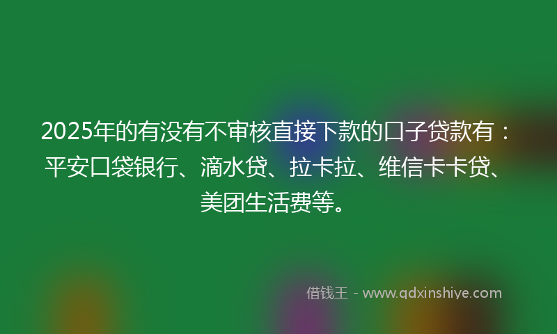 2025年的有没有不审核直接下款的口子贷款有：平安口袋银行、滴水贷、拉卡拉、维信卡卡贷、美团生活费等。