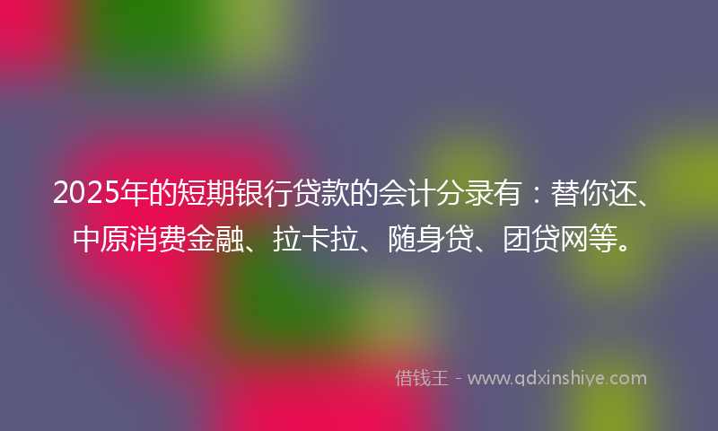 2025年的短期银行贷款的会计分录有：替你还、中原消费金融、拉卡拉、随身贷、团贷网等。