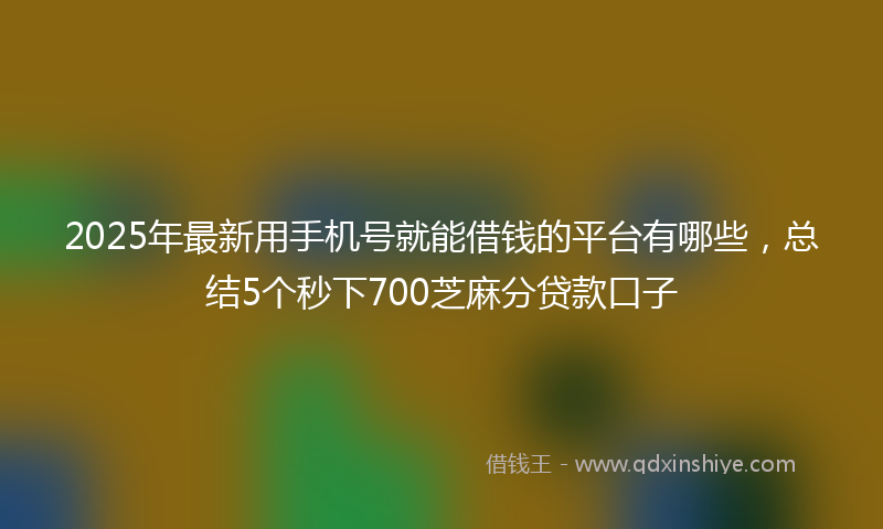 2025年最新用手机号就能借钱的平台有哪些，总结5个秒下700芝麻分贷款口子