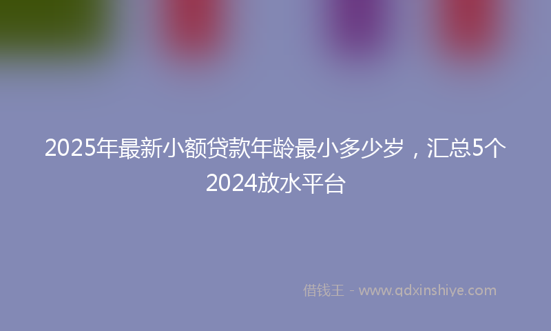2025年最新小额贷款年龄最小多少岁，汇总5个2024放水平台