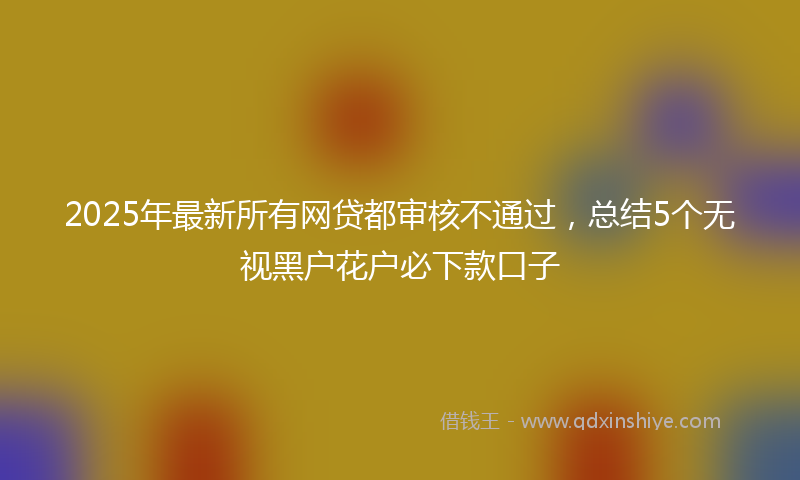 2025年最新所有网贷都审核不通过，总结5个无视黑户花户必下款口子