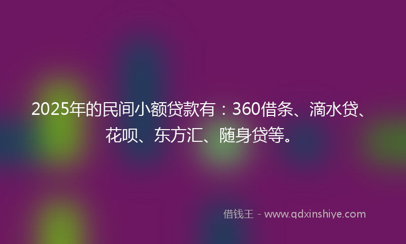 2025年的民间小额贷款有：360借条、滴水贷、花呗、东方汇、随身贷等。