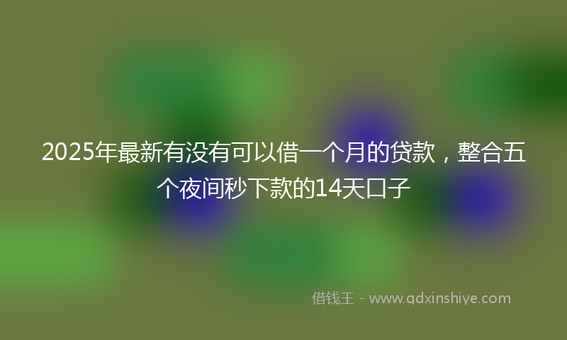 2025年最新有没有可以借一个月的贷款，整合五个夜间秒下款的14天口子
