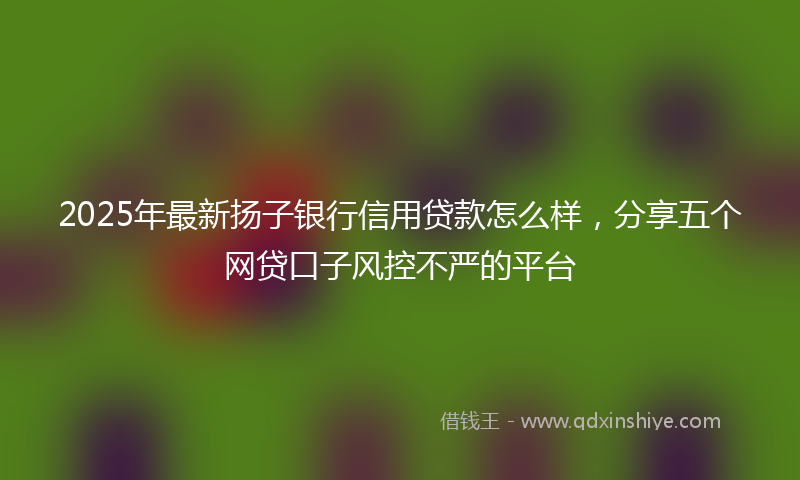 2025年最新扬子银行信用贷款怎么样，分享五个网贷口子风控不严的平台