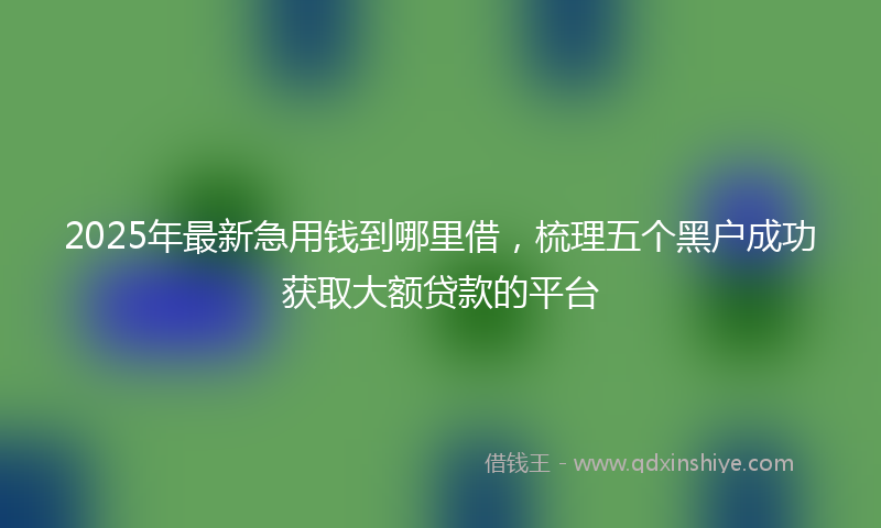 2025年最新急用钱到哪里借，梳理五个黑户成功获取大额贷款的平台