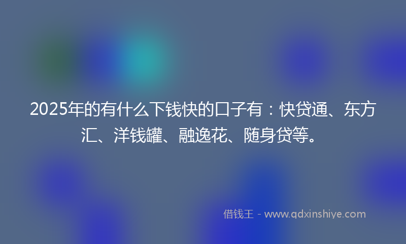 2025年的有什么下钱快的口子有：快贷通、东方汇、洋钱罐、融逸花、随身贷等。
