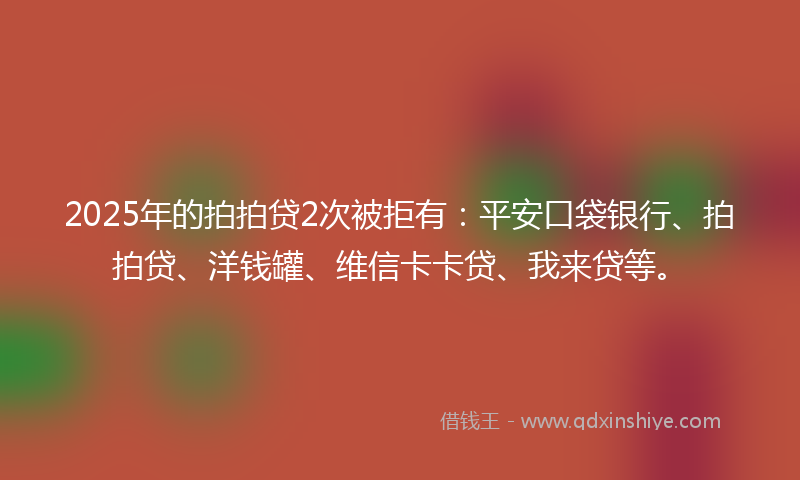 2025年的拍拍贷2次被拒有：平安口袋银行、拍拍贷、洋钱罐、维信卡卡贷、我来贷等。