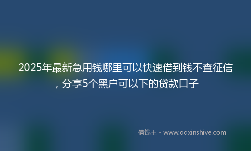 2025年最新急用钱哪里可以快速借到钱不查征信，分享5个黑户可以下的贷款口子