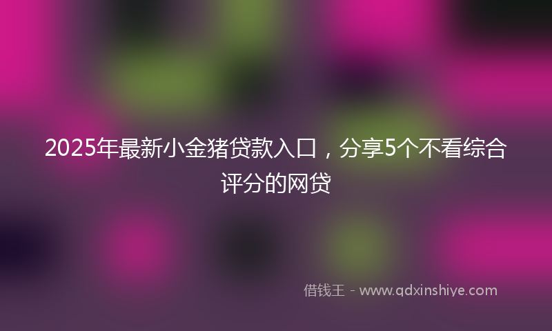 2025年最新小金猪贷款入口，分享5个不看综合评分的网贷